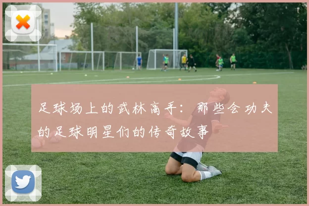 足球场上的武林高手：那些会功夫的足球明星们的传奇故事