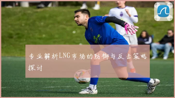 专业解析LNG市场的防御与反击策略探讨