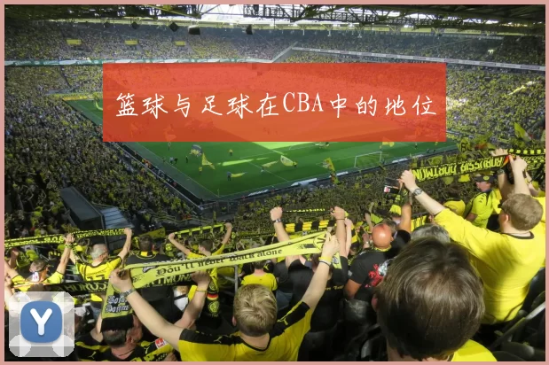 篮球与足球在CBA中的地位