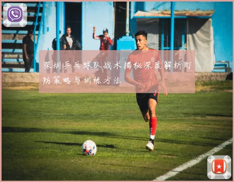 深圳乒乓球队战术揭秘深度解析盯防策略与训练方法