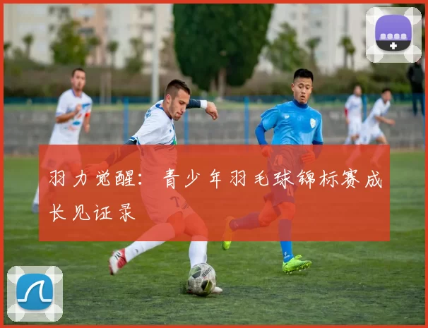 羽力觉醒：青少年羽毛球锦标赛成长见证录