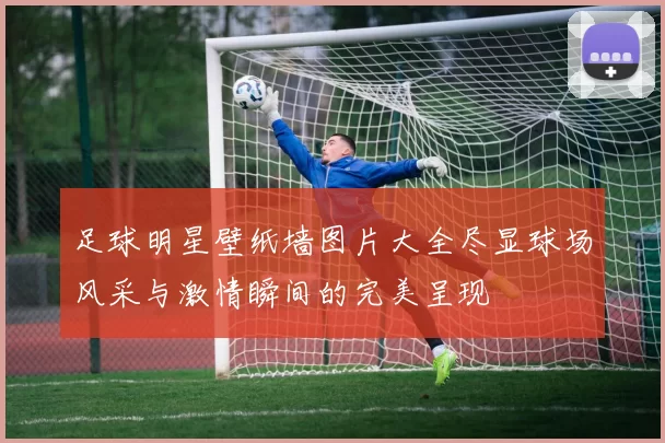 足球明星壁纸墙图片大全尽显球场风采与激情瞬间的完美呈现
