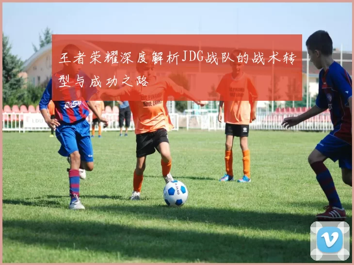 王者荣耀深度解析JDG战队的战术转型与成功之路