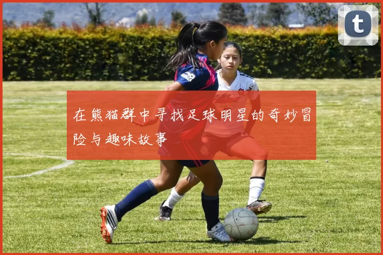 在熊猫群中寻找足球明星的奇妙冒险与趣味故事