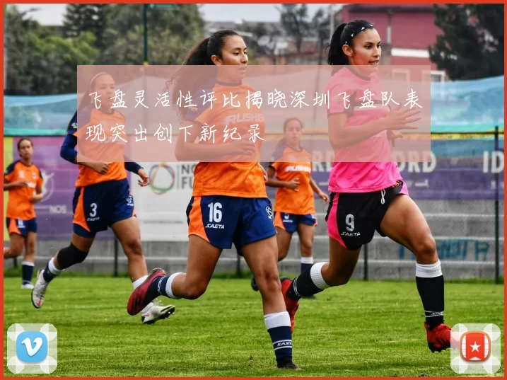 飞盘灵活性评比揭晓深圳飞盘队表现突出创下新纪录