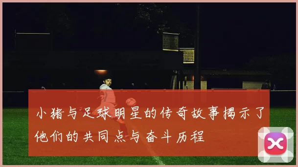 小猪与足球明星的传奇故事揭示了他们的共同点与奋斗历程