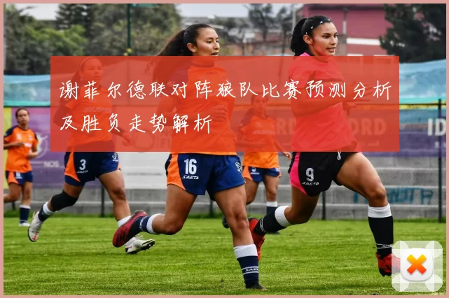谢菲尔德联对阵狼队比赛预测分析及胜负走势解析