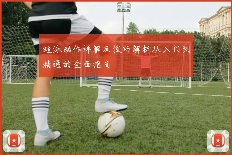蛙泳动作详解及技巧解析从入门到精通的全面指南