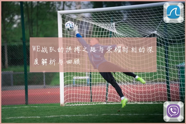 WE战队的拼搏之路与荣耀时刻的深度解析与回顾