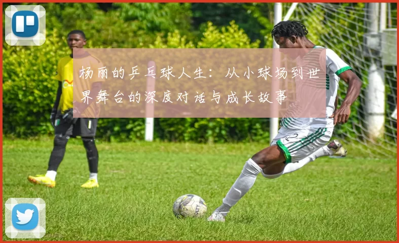 杨丽的乒乓球人生：从小球场到世界舞台的深度对话与成长故事