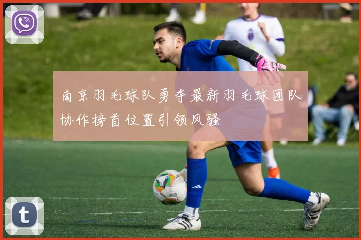南京羽毛球队勇夺最新羽毛球团队协作榜首位置引领风骚