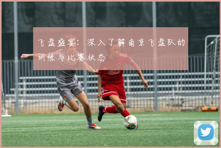 飞盘盛宴：深入了解南京飞盘队的训练与比赛状态