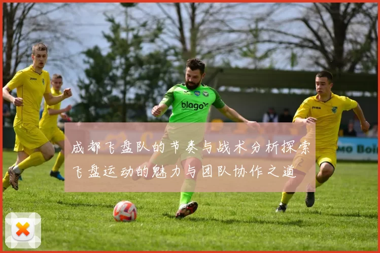 成都飞盘队的节奏与战术分析探索飞盘运动的魅力与团队协作之道