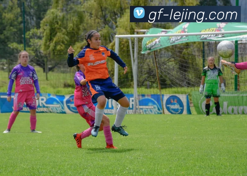 乐竞体育发展历程